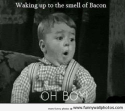 funny bacon waking up.jpg