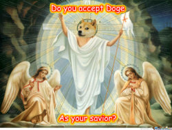 doge.jpg