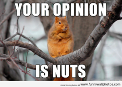 funny sq opinion nuts.png