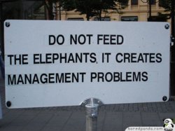 Funny-Signs-Elephants-54.jpg