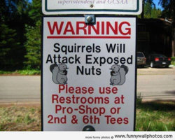 funny sq squirrels restrooms.jpg