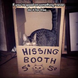 Hissing-booth.jpg