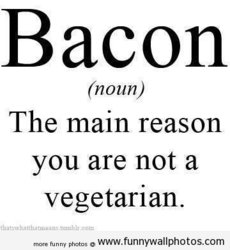 funny bacon is amazing.jpg