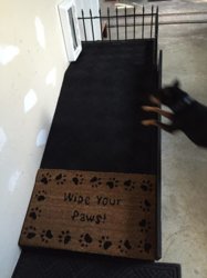 tank action shot.jpg