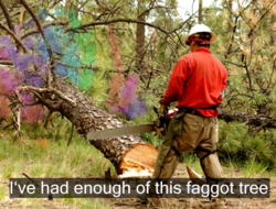 faggot_tree.png