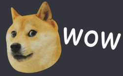 dogewow_grande.jpg