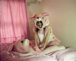 cute,photography,bunny,push,still,costume-cda697224ce633dfb5bb09eef6e4f781_h.jpg