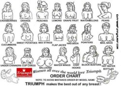 different kinds of boobs.jpg