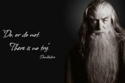 trollquotesdumbledore.jpg