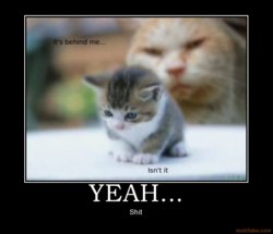 yeah-lolcat-demotivational-poster-1257177533.jpg