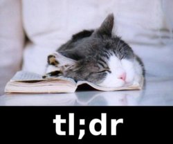 Tldrcat.jpg