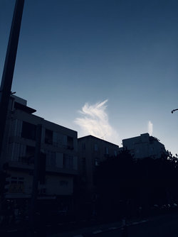 65F378F5-248D-41DE-BB1F-D44338298567.jpeg
