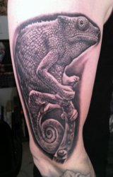 Chameleon tat.jpg