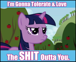 pony-tolerate-and-love.png