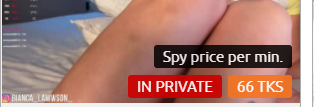 Spy Rate 2.png