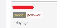 model-follower.jpg