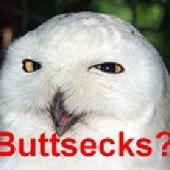 ButtSecksOwl