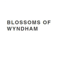 blossomofwyndham