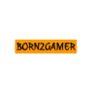 born2gamer